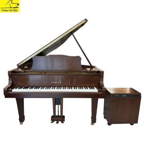 Grand Piano Yamaha C3E