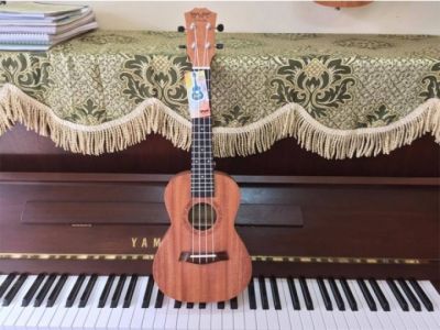 ĐÀN UKULELE BWS SIZE 23 KHÔNG VIỀN