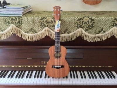 ĐÀN UKULELE BWS SIZE 23 KHÓA ĐÚC