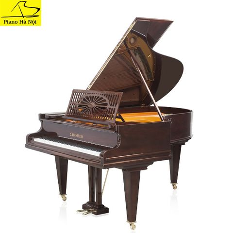 Grand Piano C.Bechstein SAP6765