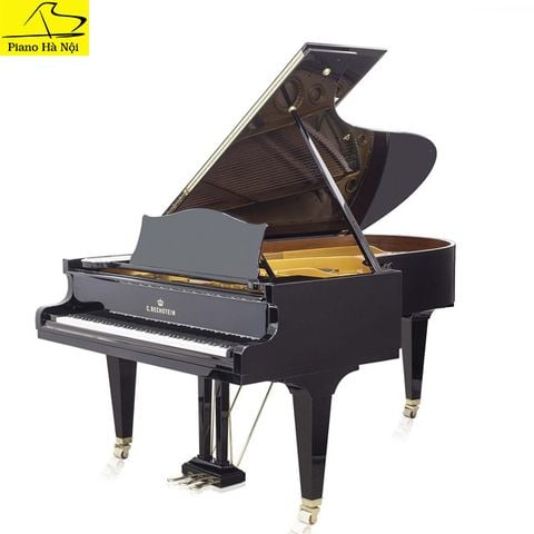 Grand Piano C.Bechstein SAP5874