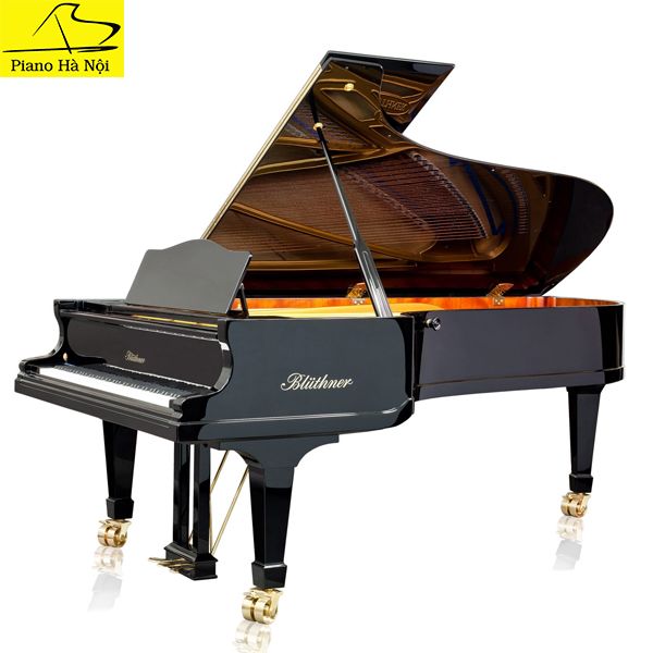 Grand Piano Bluthner SAP5114