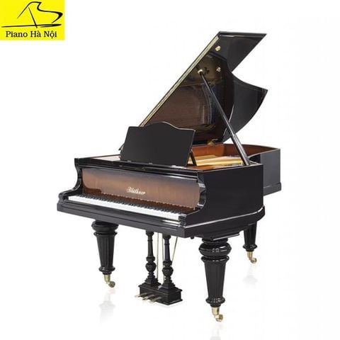 Grand Piano Bluthner SAP5619