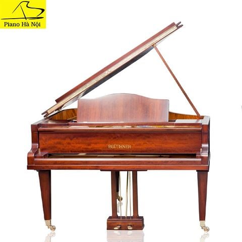 Grand Piano Bluthner Twins