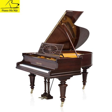 Grand Piano C.Bechstein SAP6606