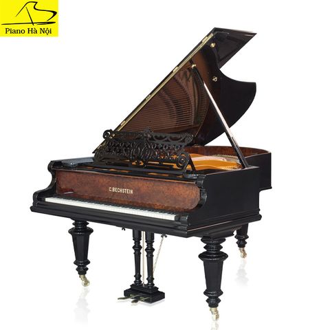 Grand Piano C.Bechstein SAP6710