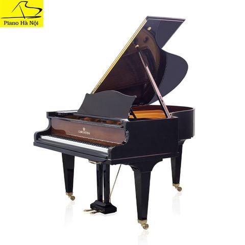Grand Piano C.Bechstein SAP5944