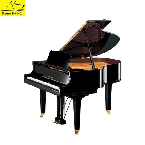 Grand Piano Yamaha GC1S (New)