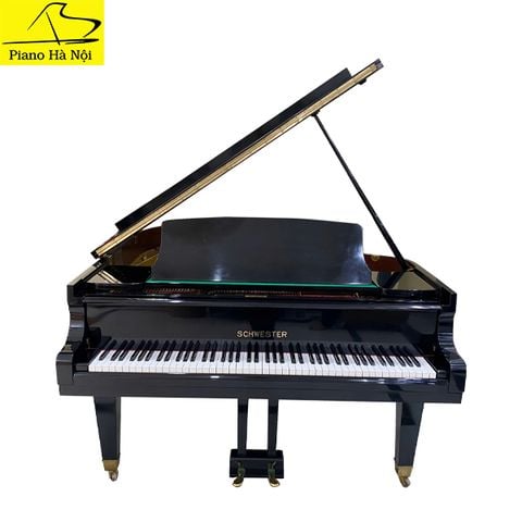 Grand Piano Schwester No60