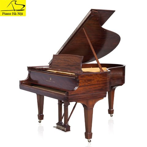 Grand Piano Steinway & Sons SAP6618