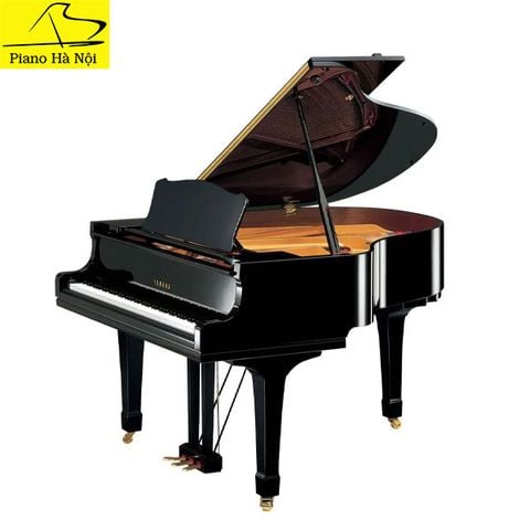 Grand Piano Yamaha C1TD New