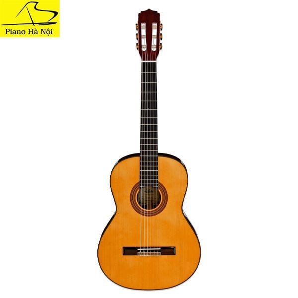 Guitar Aria A30S