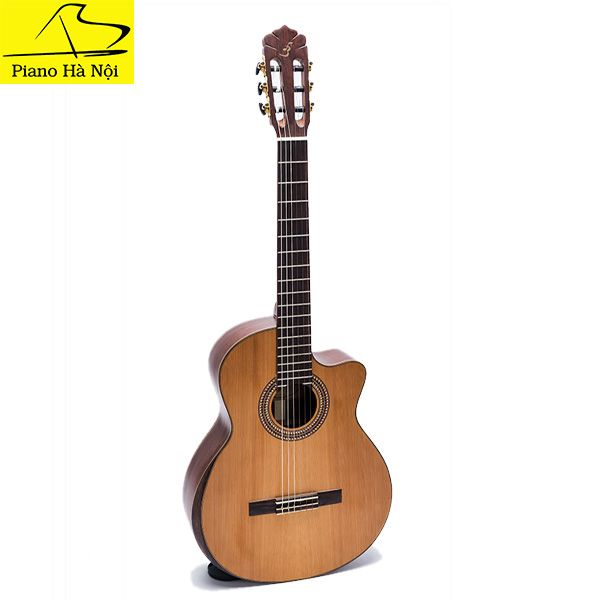 Guitar Ba Đờn C450J