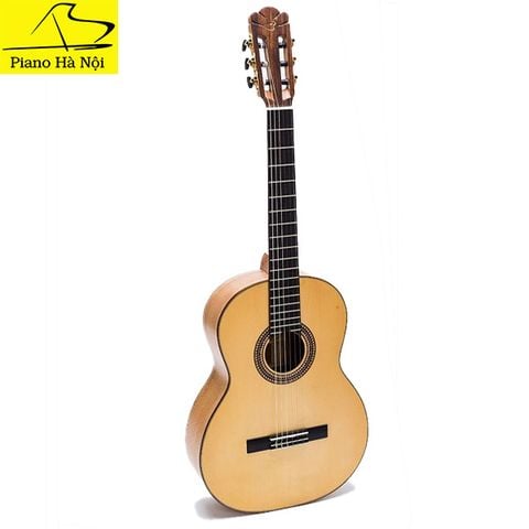 Guitar Ba Đờn C550C