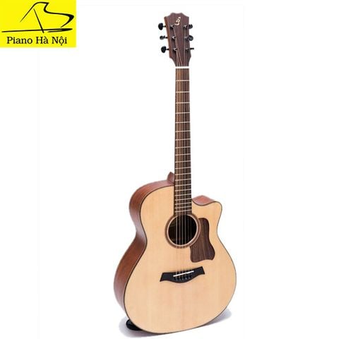 Guitar Ba Đờn T350
