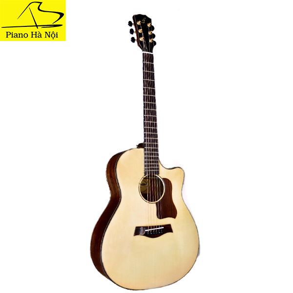 Guitar Ba Đờn T550D