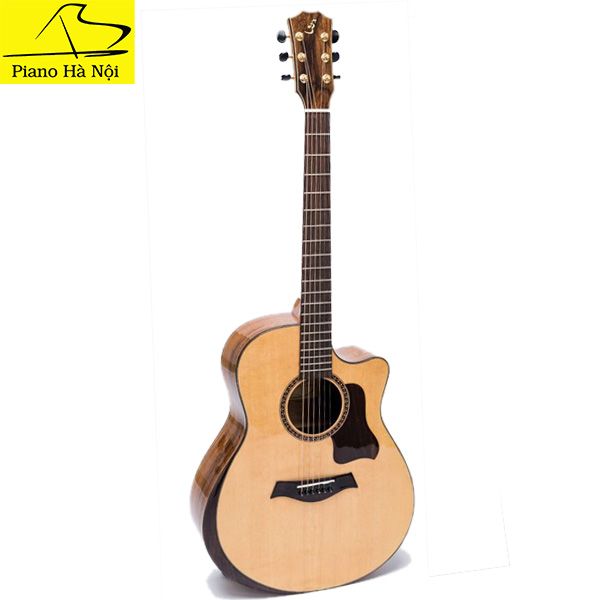 Guitar Ba Đờn T600
