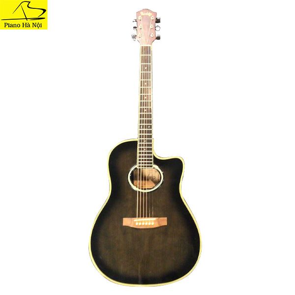 Guitar Barclay SA-330