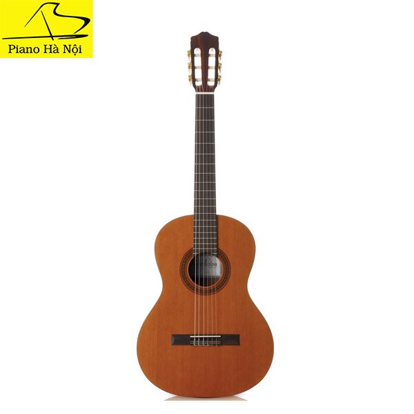 Guitar Cordoba C5
