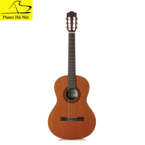 Guitar Cordoba C5