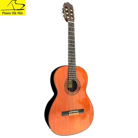 Guitar École 500