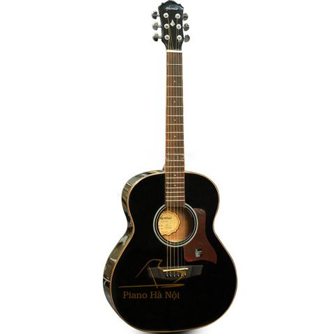 Guitar Mantic BG1BK