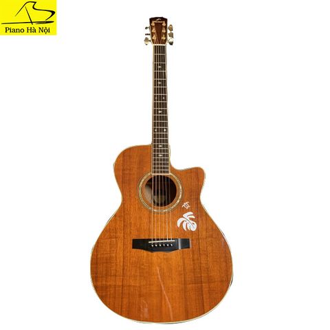 Guitar Morris KC-CUS