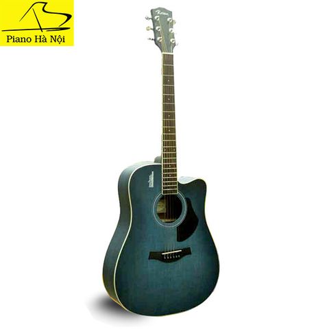 Guitar Rosen G13