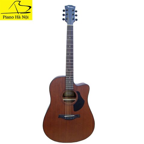 Guitar Rosen G15
