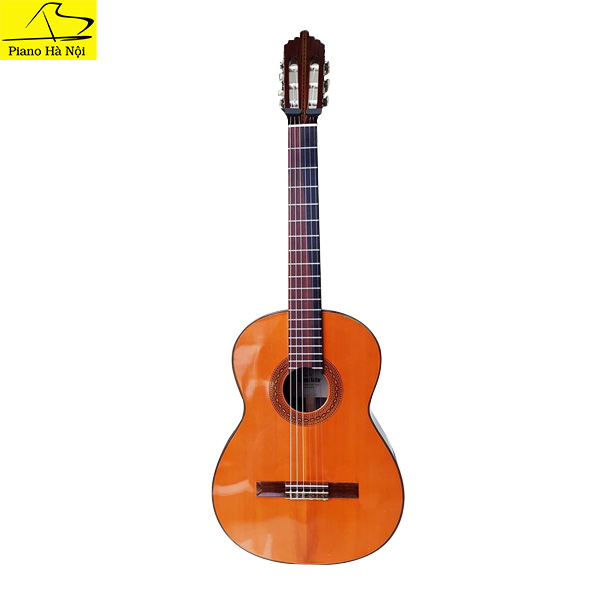 Guitar Shinano Model 55 – Piano Hà Nội