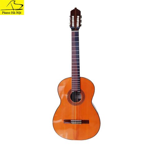 Guitar Shinano Model 55