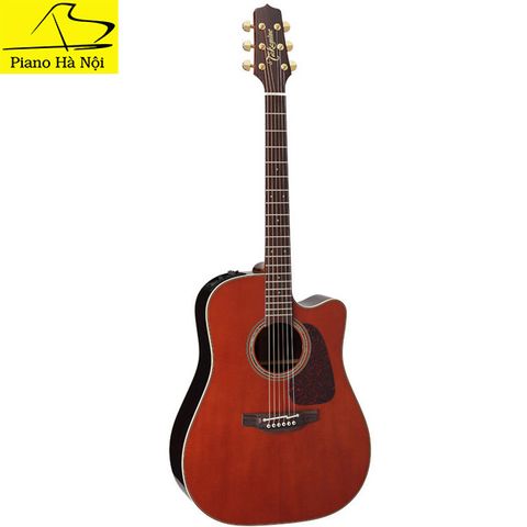 Guitar Takamine P5DC