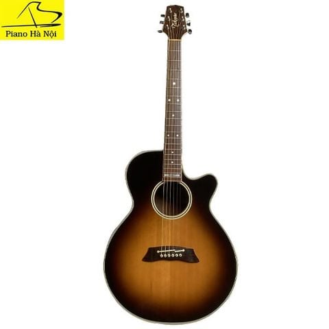 Guitar Takamine TRE108