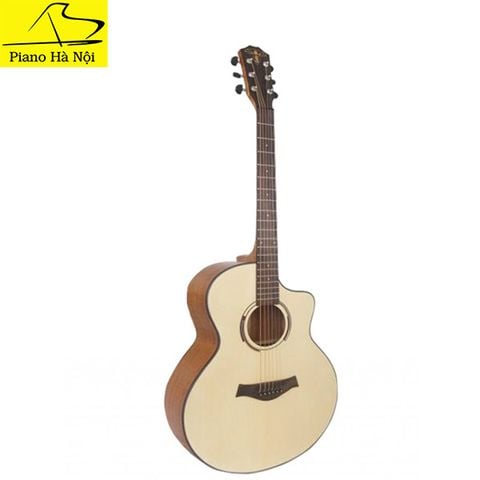 Guitar Takla M320