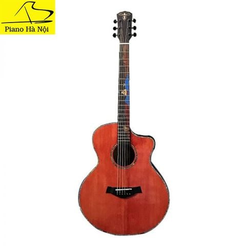 Guitar Takla M580