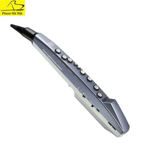 Kèn điện Roland Aerophone AE01
