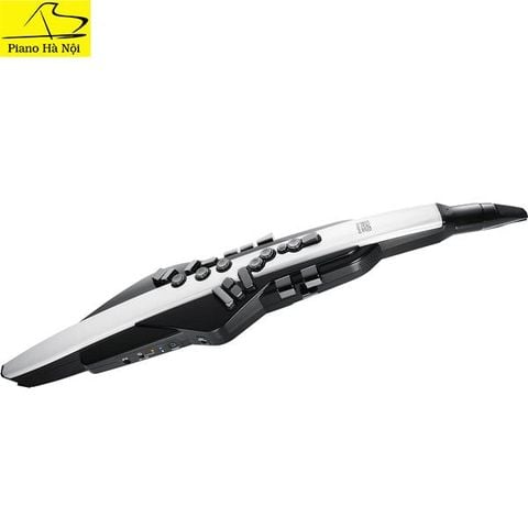 Kèn điện Roland Aerophone AE20