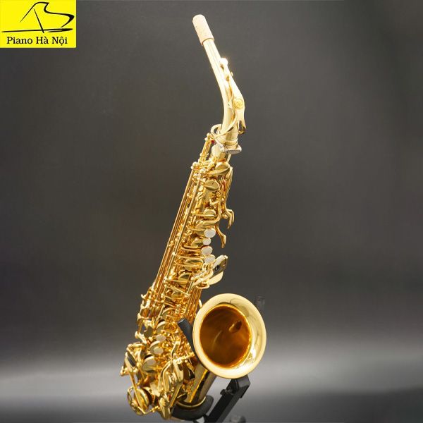 Kèn Saxophone Yamaha YAS-875EX