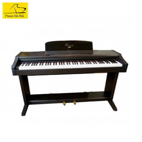 PIANO KORG C303