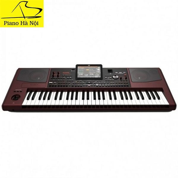 Organ Korg PA-1000 (New)