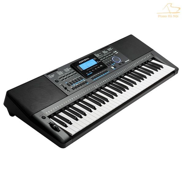 Kurzweil organ 2024