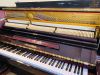 Piano Bernstein TB220