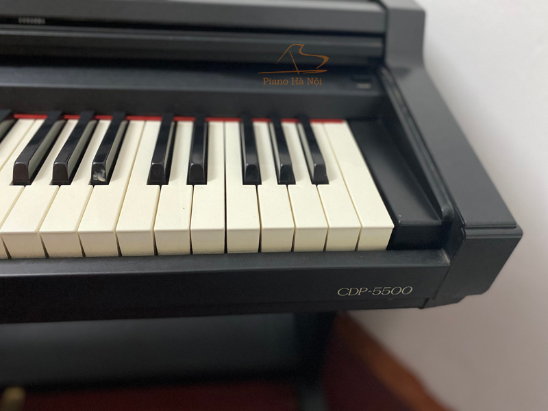 Casio sale cdp 5500