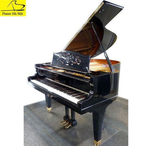 Grand Piano Diapason DR300BG