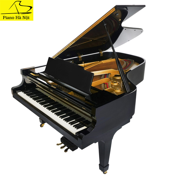 Grand Piano Kawai KG5 Piano H N i