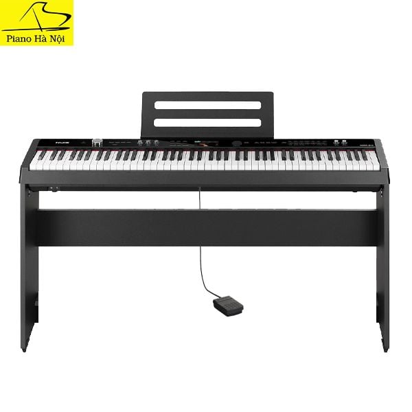 Piano Nux NPK-20 New