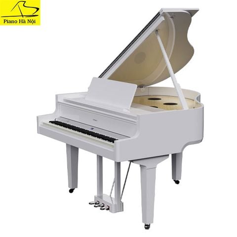 Piano Roland GP9 New