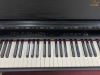 piano roland hp245