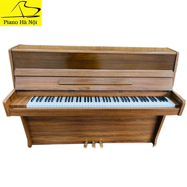 Piano Tokai C106