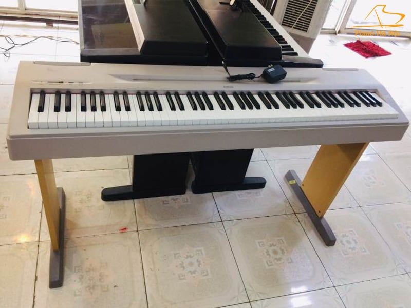 Đàn Piano Điện Yamaha P60 - Giảm Giá Cực Sốc Tại Piano Hà Nội – Piano Hà Nội